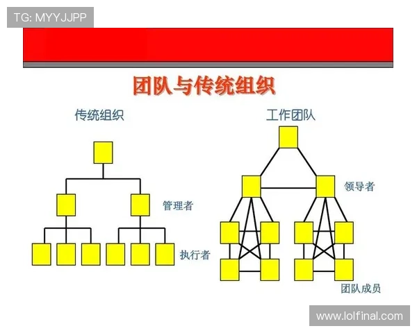 浙江新胜大俱乐部羽甲联赛夺冠历程：团队协作与关键分把握制胜